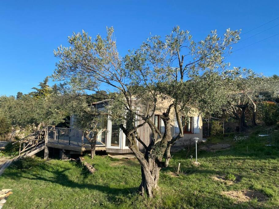 Neuve Romantique Montbrun-des-Corbieres Ngoại thất bức ảnh